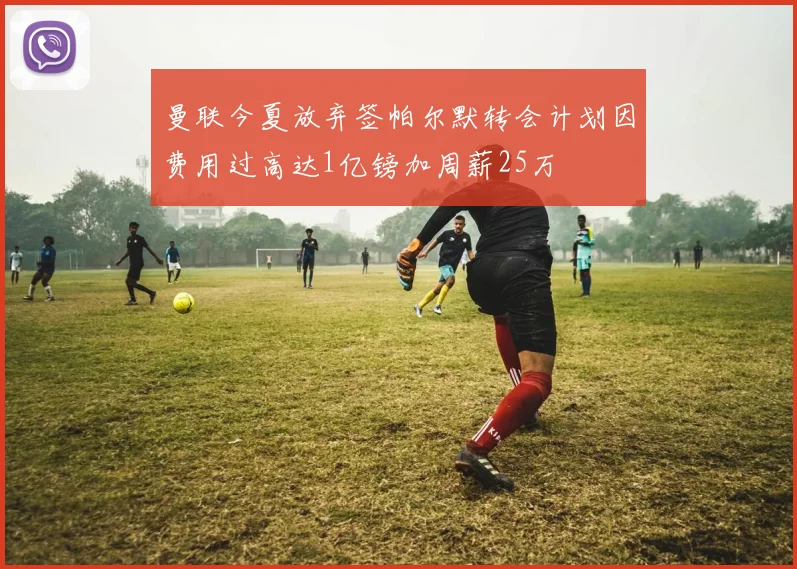 曼联今夏放弃签帕尔默转会计划因费用过高达1亿镑加周薪25万